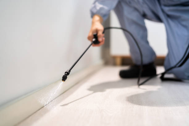 Licensed Cockroach Control service in Rustburg, VA - Nex Pest Control