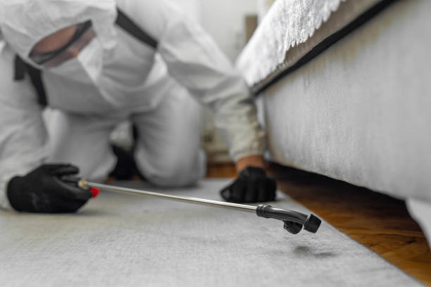 Professional Cockroach Control technician working in Rustburg, VA