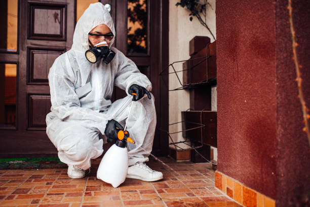 Reliable Cockroach Control contractor in Rustburg, VA by Nex Pest Control